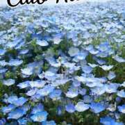 ヒメ日記 2025/03/27 18:00 投稿 辻レイナ クラブ華