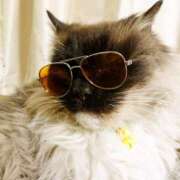 ヒメ日記 2025/03/28 17:00 投稿 辻レイナ クラブ華