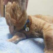 ヒメ日記 2025/03/30 17:00 投稿 辻レイナ クラブ華