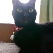 ヒメ日記 2025/04/01 17:00 投稿 辻レイナ クラブ華