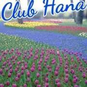 ヒメ日記 2025/04/01 18:00 投稿 辻レイナ クラブ華