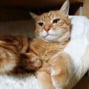 ヒメ日記 2025/04/04 17:00 投稿 辻レイナ クラブ華