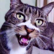 ヒメ日記 2025/04/05 17:00 投稿 辻レイナ クラブ華