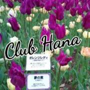 ヒメ日記 2025/04/06 18:00 投稿 辻レイナ クラブ華