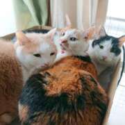 ヒメ日記 2025/04/07 17:00 投稿 辻レイナ クラブ華