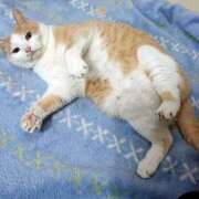 ヒメ日記 2025/04/08 17:00 投稿 辻レイナ クラブ華