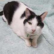 ヒメ日記 2025/04/12 17:00 投稿 辻レイナ クラブ華