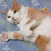 ヒメ日記 2025/04/13 17:00 投稿 辻レイナ クラブ華