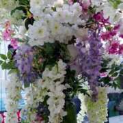 ヒメ日記 2025/04/13 18:00 投稿 辻レイナ クラブ華