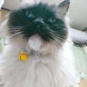 ヒメ日記 2025/04/15 17:00 投稿 辻レイナ クラブ華