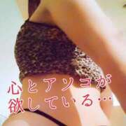 ヒメ日記 2025/04/17 12:01 投稿 辻レイナ クラブ華