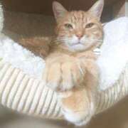 ヒメ日記 2025/04/18 17:00 投稿 辻レイナ クラブ華