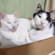 ヒメ日記 2025/04/19 17:00 投稿 辻レイナ クラブ華