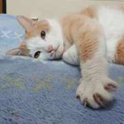 ヒメ日記 2025/04/20 17:00 投稿 辻レイナ クラブ華