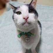 ヒメ日記 2025/04/21 17:00 投稿 辻レイナ クラブ華