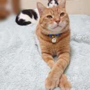 ヒメ日記 2025/04/23 17:00 投稿 辻レイナ クラブ華