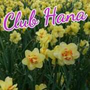 ヒメ日記 2025/04/24 18:01 投稿 辻レイナ クラブ華