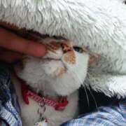 ヒメ日記 2025/04/25 17:00 投稿 辻レイナ クラブ華