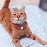 ヒメ日記 2025/04/26 17:00 投稿 辻レイナ クラブ華