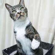 ヒメ日記 2025/04/27 17:00 投稿 辻レイナ クラブ華