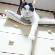 ヒメ日記 2025/04/30 17:00 投稿 辻レイナ クラブ華