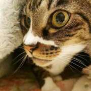 ヒメ日記 2025/05/01 17:00 投稿 辻レイナ クラブ華