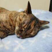 ヒメ日記 2025/05/02 17:00 投稿 辻レイナ クラブ華