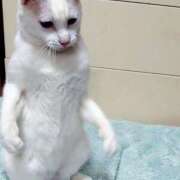 ヒメ日記 2025/05/03 17:00 投稿 辻レイナ クラブ華