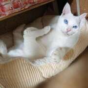 ヒメ日記 2025/05/05 17:00 投稿 辻レイナ クラブ華