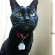 ヒメ日記 2025/05/06 17:01 投稿 辻レイナ クラブ華