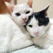 ヒメ日記 2025/05/07 17:00 投稿 辻レイナ クラブ華