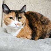 ヒメ日記 2025/05/08 17:00 投稿 辻レイナ クラブ華