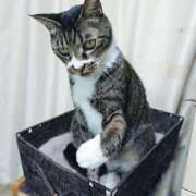 ヒメ日記 2025/05/10 17:00 投稿 辻レイナ クラブ華