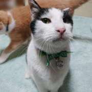 ヒメ日記 2025/05/11 17:00 投稿 辻レイナ クラブ華