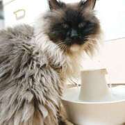 ヒメ日記 2025/05/14 17:00 投稿 辻レイナ クラブ華