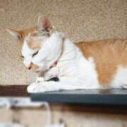 ヒメ日記 2025/05/15 17:00 投稿 辻レイナ クラブ華