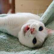 ヒメ日記 2025/05/16 17:00 投稿 辻レイナ クラブ華