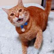 ヒメ日記 2025/05/17 17:00 投稿 辻レイナ クラブ華