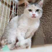 ヒメ日記 2025/05/19 17:00 投稿 辻レイナ クラブ華