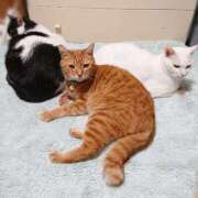 ヒメ日記 2025/05/20 17:00 投稿 辻レイナ クラブ華