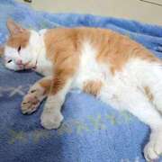 ヒメ日記 2025/05/21 17:00 投稿 辻レイナ クラブ華