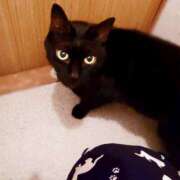 ヒメ日記 2025/05/22 17:00 投稿 辻レイナ クラブ華