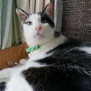 ヒメ日記 2025/05/23 17:00 投稿 辻レイナ クラブ華