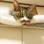 ヒメ日記 2025/05/24 17:00 投稿 辻レイナ クラブ華