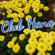 ヒメ日記 2025/05/24 18:00 投稿 辻レイナ クラブ華