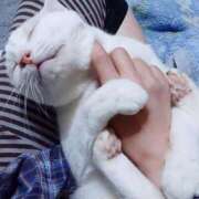 ヒメ日記 2025/05/26 17:00 投稿 辻レイナ クラブ華