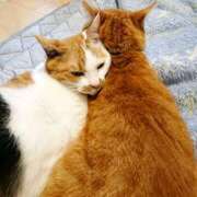 ヒメ日記 2025/05/27 17:00 投稿 辻レイナ クラブ華