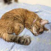 ヒメ日記 2025/05/28 17:00 投稿 辻レイナ クラブ華