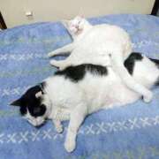 ヒメ日記 2025/05/30 17:00 投稿 辻レイナ クラブ華