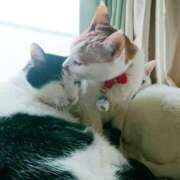 ヒメ日記 2025/05/31 17:00 投稿 辻レイナ クラブ華